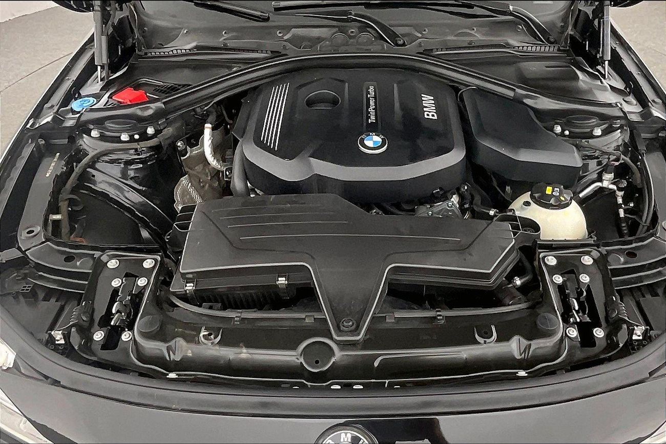 BMW 318i Standard | Guaranteed Warranty | 0 Down Payment