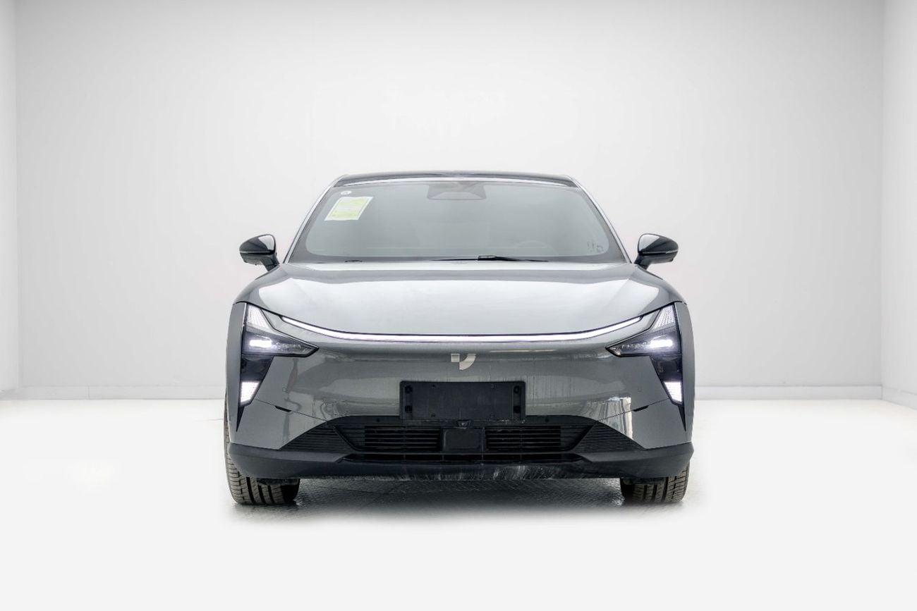 Jidu 1 Max Long Range EV - Grey Inside Black | Export Only