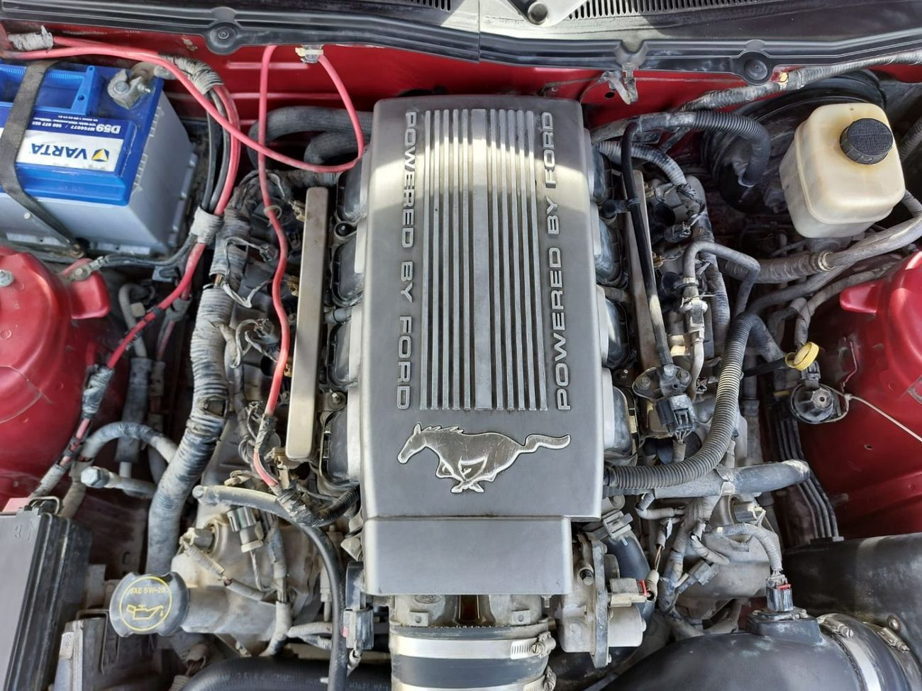 فورد موستانج GT