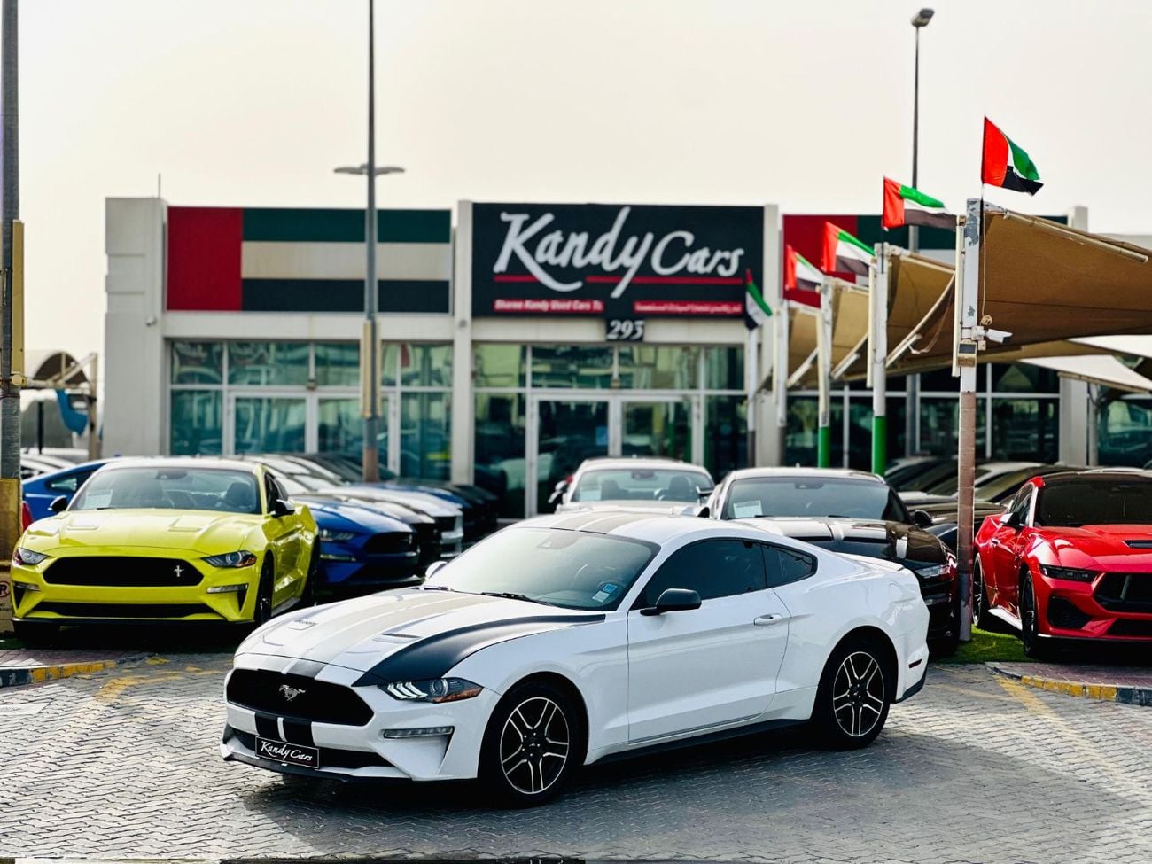 Ford Mustang Ecoboost | Monthly 1200/- | 0% DP | Fog Lights | Lane Assist | # 00283