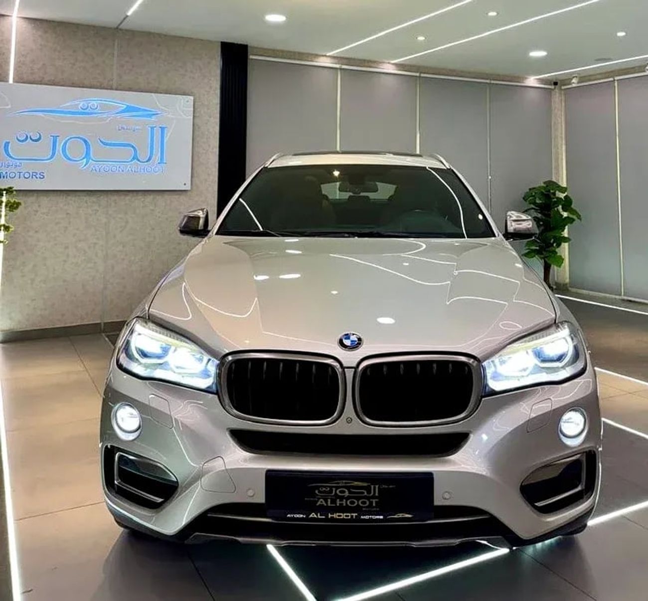 BMW X6 50i Exclusive 4.4L