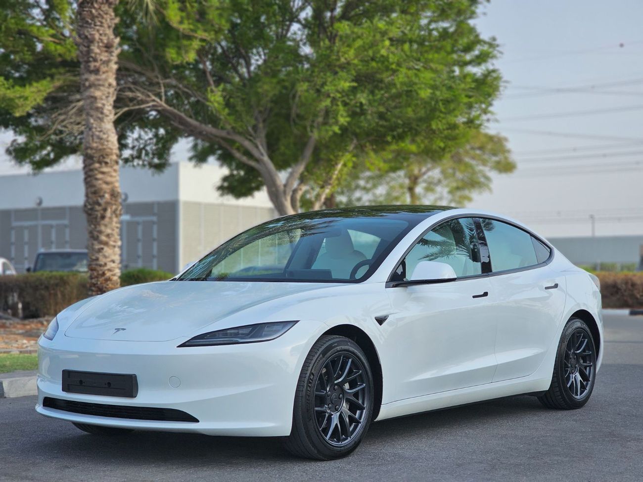 Tesla Model 3 Long Range (AWD)