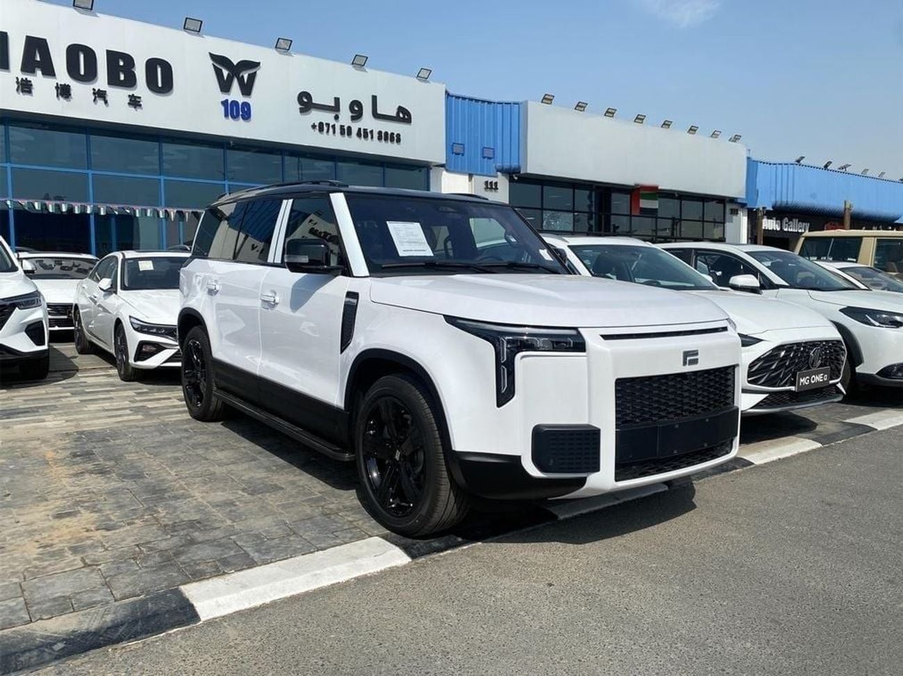 ROX 01 Long Range VIP 6 Seats VIP