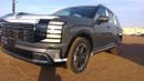 Hyundai Palisade Full limited
