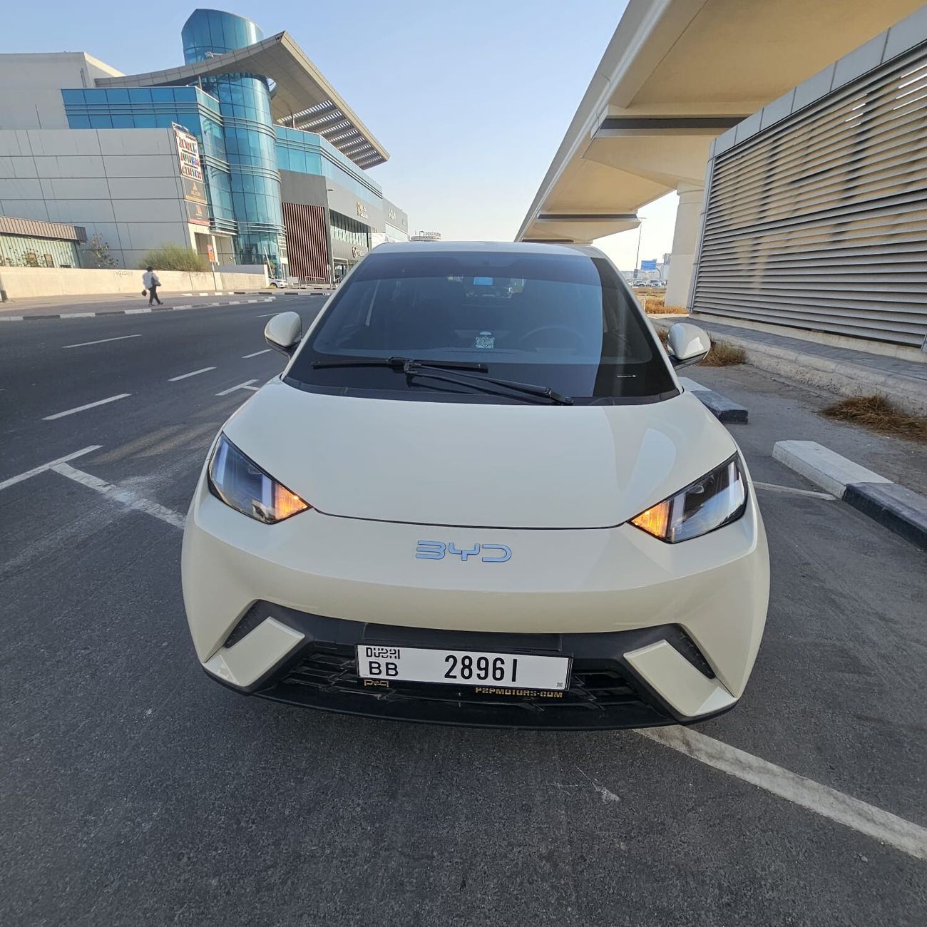 بي واي دي سيجول