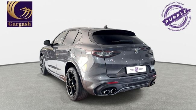 Alfa Romeo Stelvio QUADRIFOGLIO, миниатюра 30