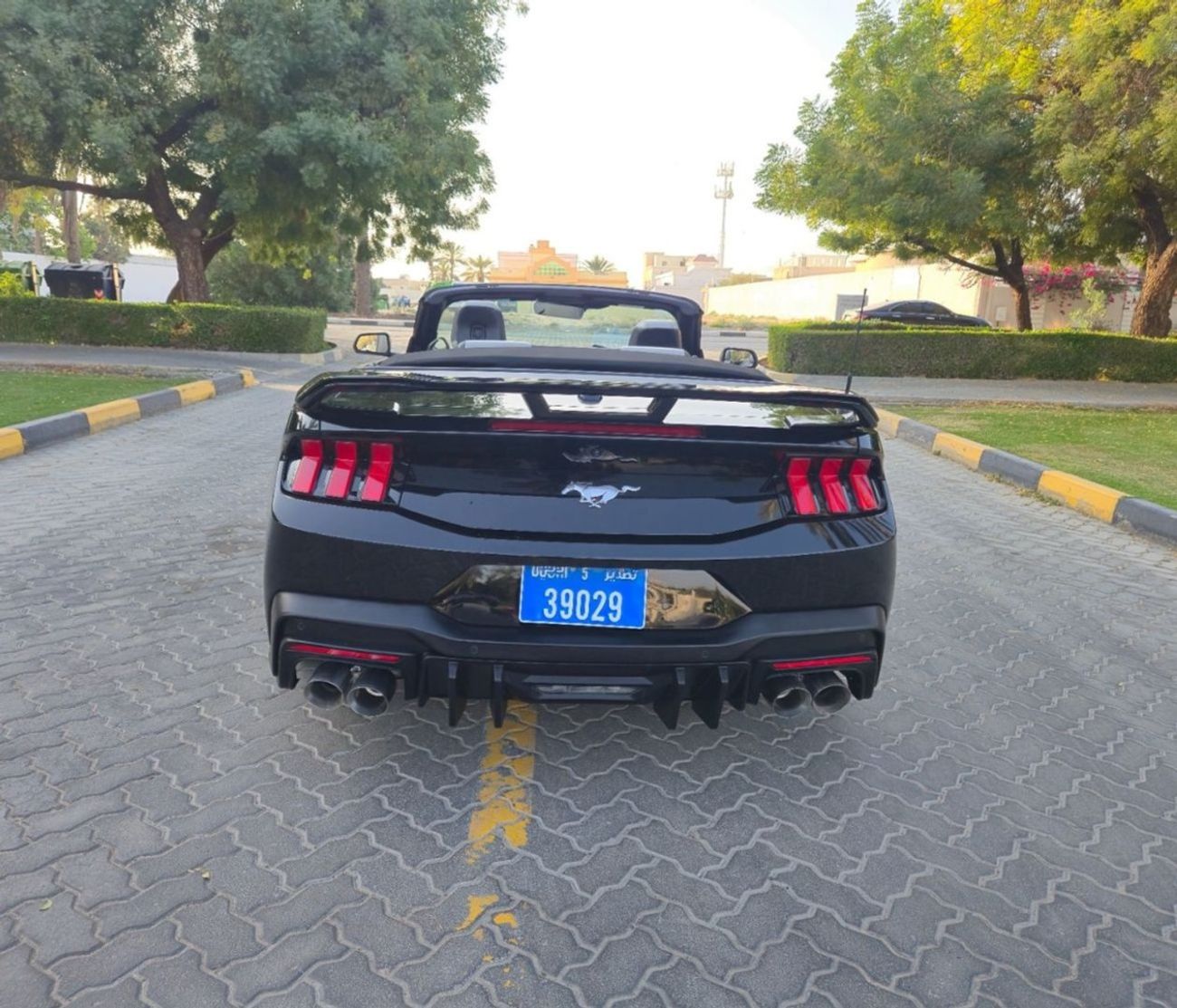 Ford Mustang EcoBoost 2.3L Convertible A/T