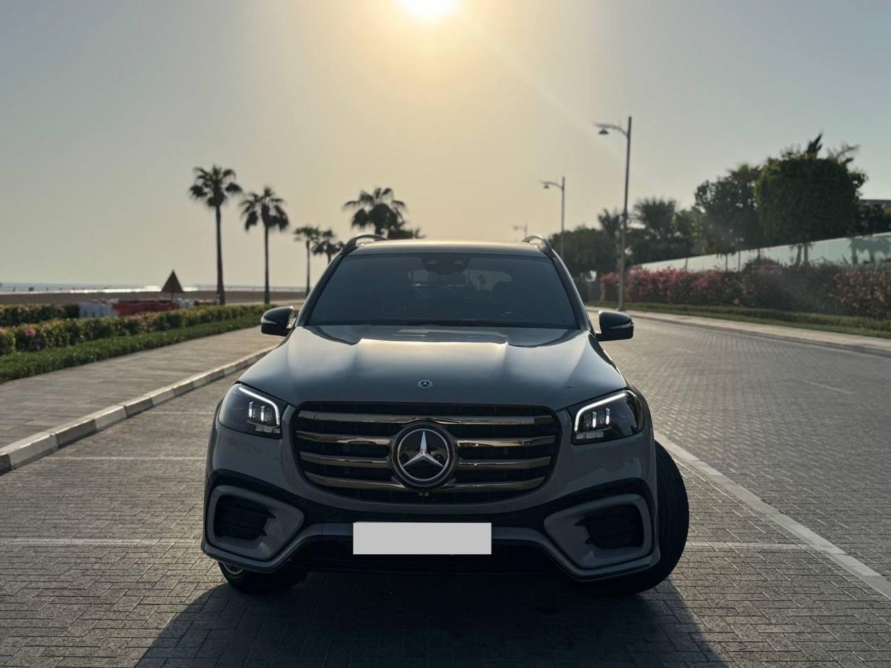 Mercedes-Benz GLS 580 Premium + 4.0L (489 HP)