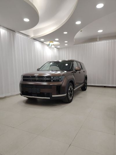Hyundai Santa Fe Hyundai santafe calligraphy 2024 China specs