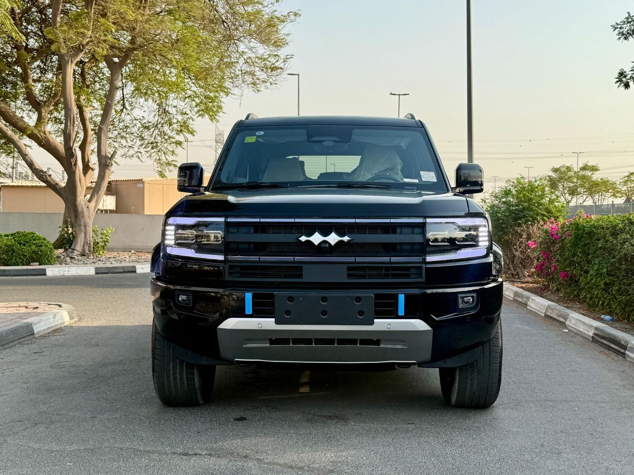 BYD Leopard 5 Leopard 5 Ultra 2 Diff-Lock