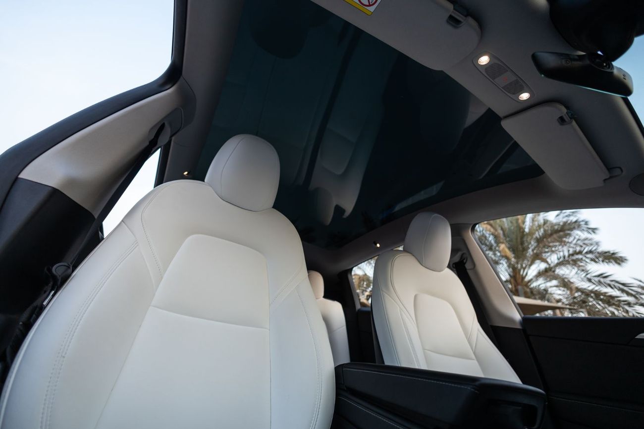 تسلا موديل Y Long Range (AWD)