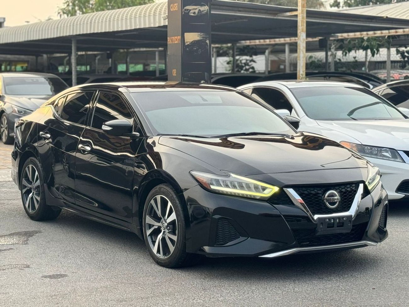 نيسان ماكسيما SV