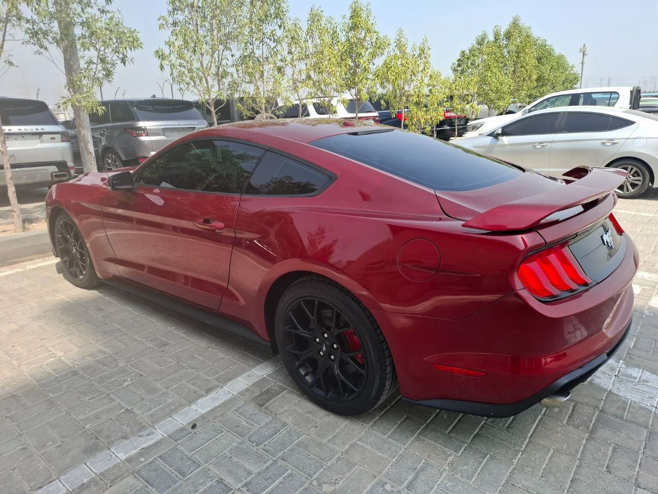 فورد موستانج STD