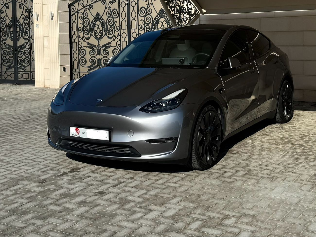 Tesla Model Y performance