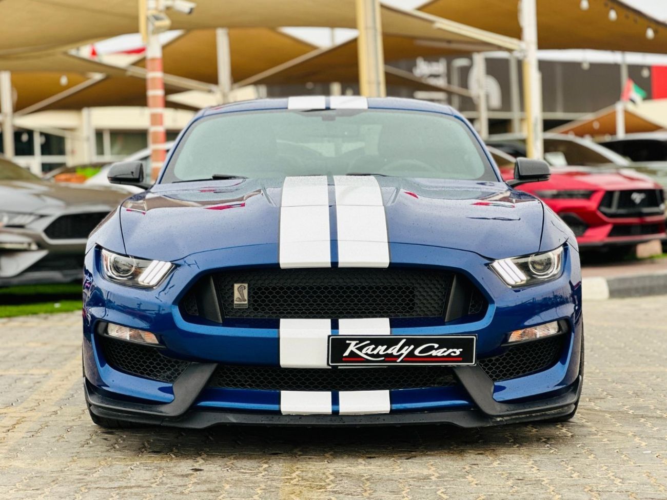 فورد موستانج Shelby GT350 | Monthly AED 3070/- | 0% DP | Active Exhaust | Alcantara Seats | # 23376