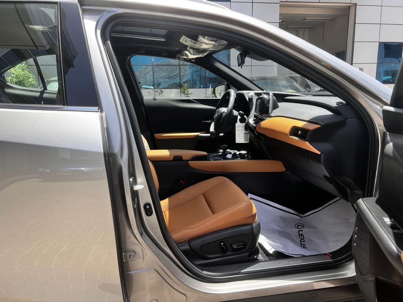 Lexus UX300h