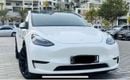 Tesla Model Y PERFORMANCE