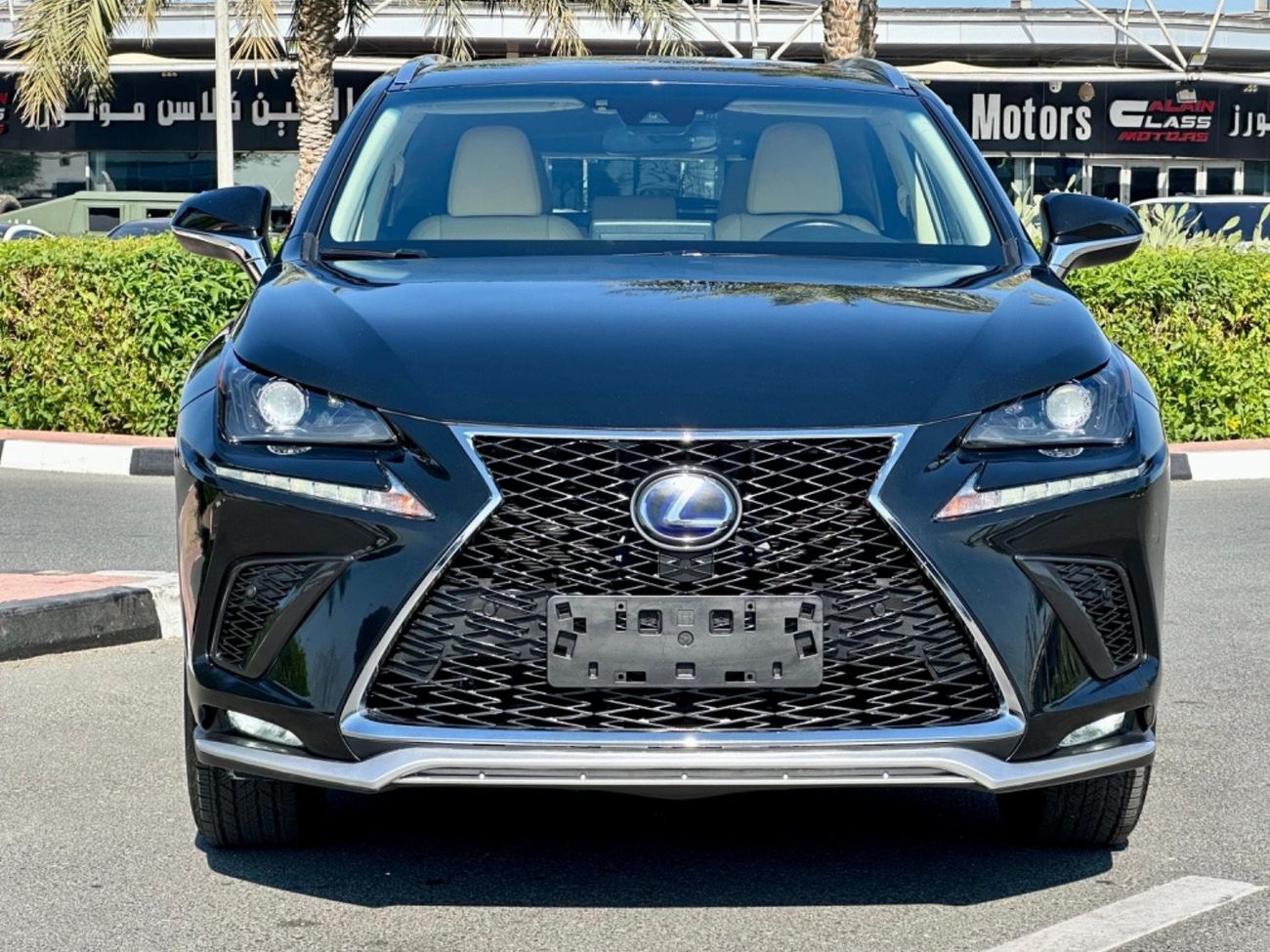 Lexus NX300 Premier 2021 Lexus NX300 hybrid