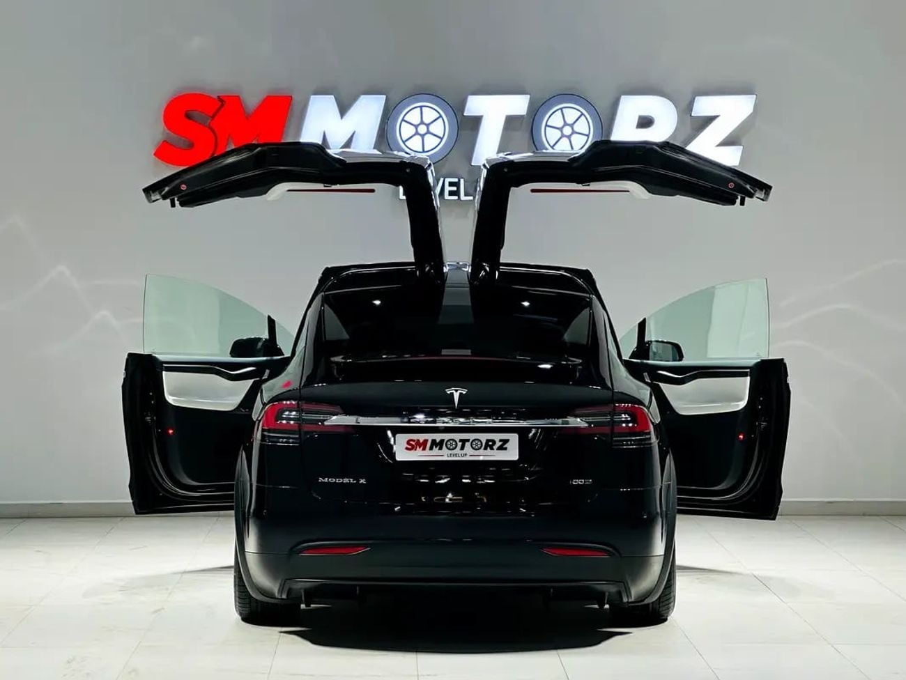 Tesla Model X 100D