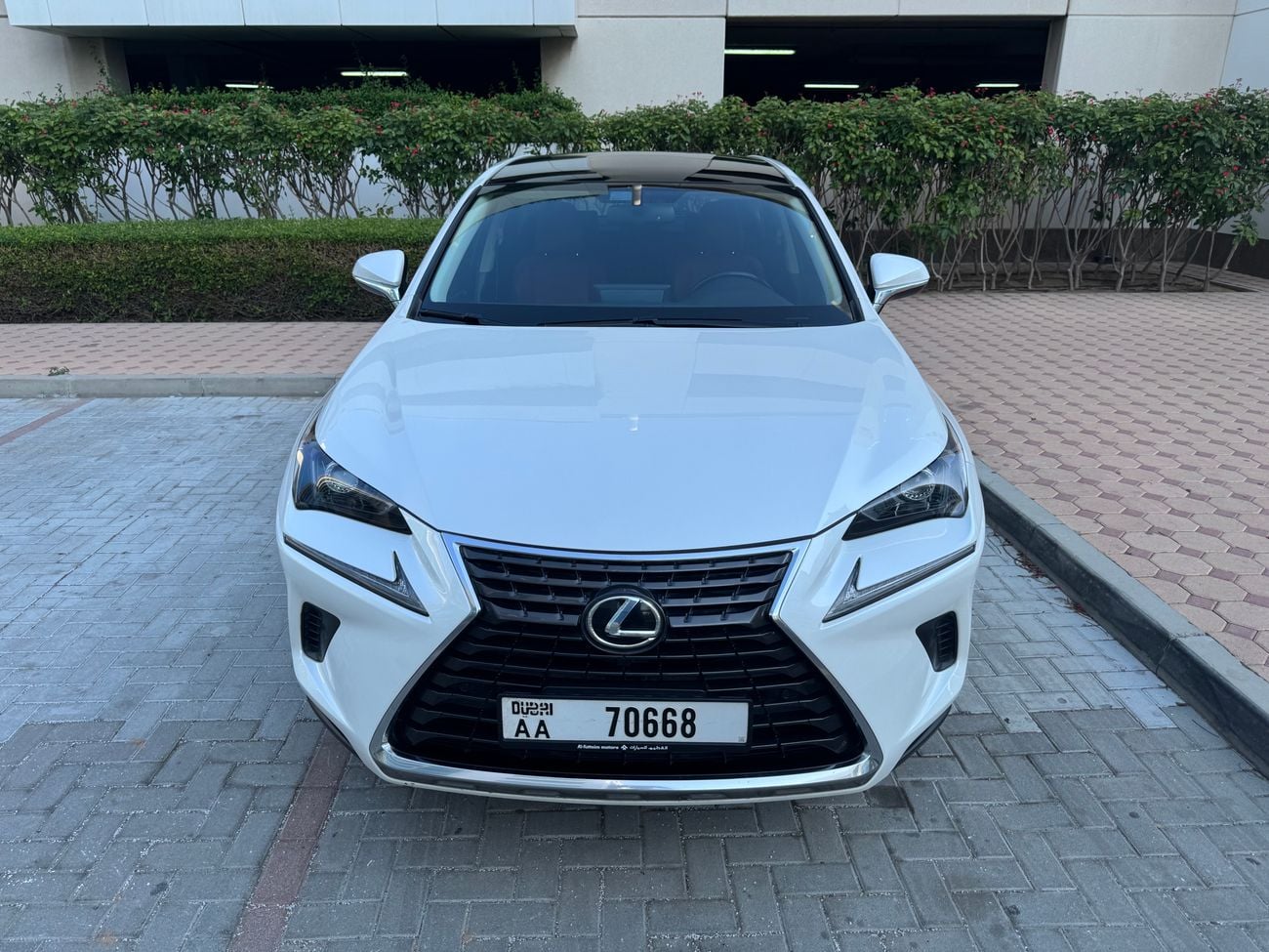 Lexus NX300