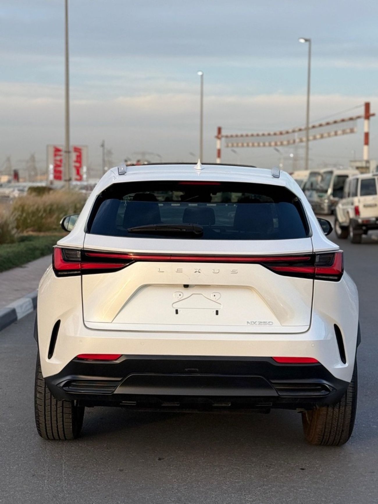 Lexus NX 250 Premium