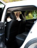 Nissan Kicks Nissan Kicks Gulf Spec 2020 S in excellent condition inside and out