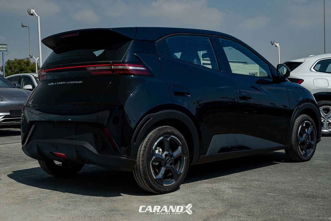 BYD Seagull BYD Seagull Fly 405km