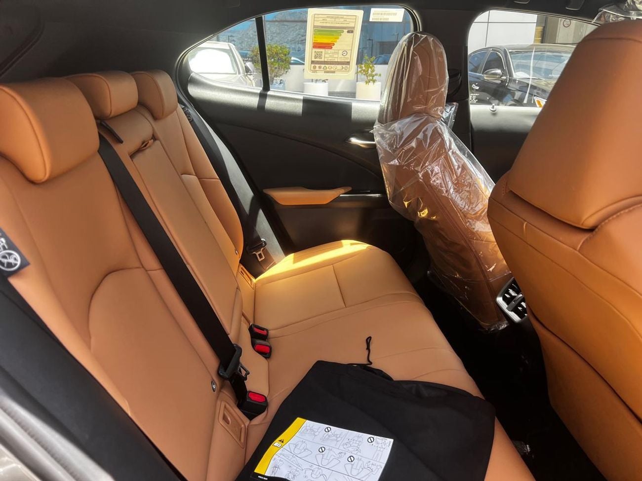 Lexus UX300h