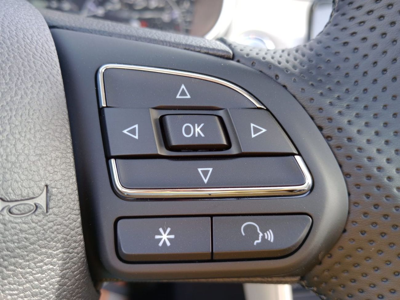 MG ZS MG ZS 2025  luxury 1.5L Petrol SUV FWD silver  color