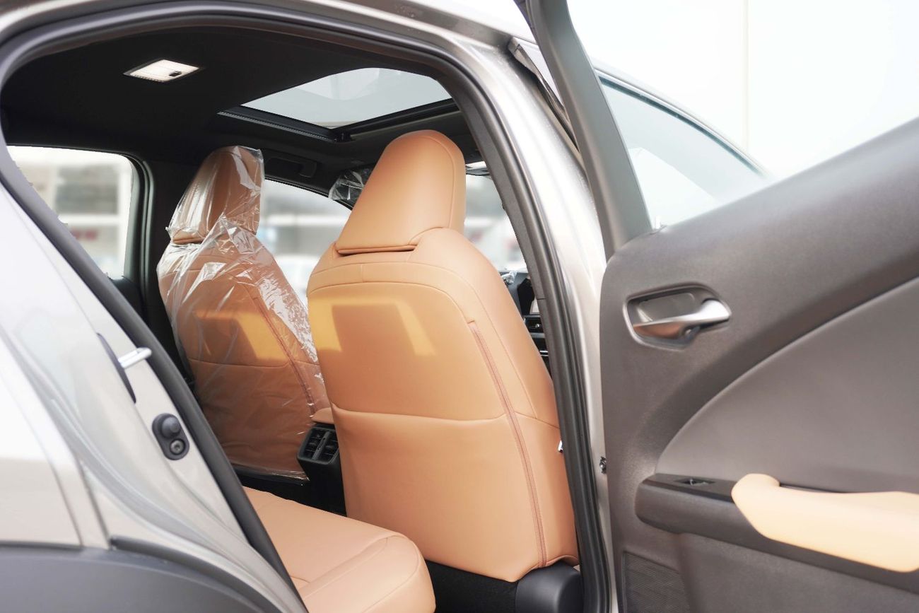 Lexus UX300h UX300 2.0L HEV