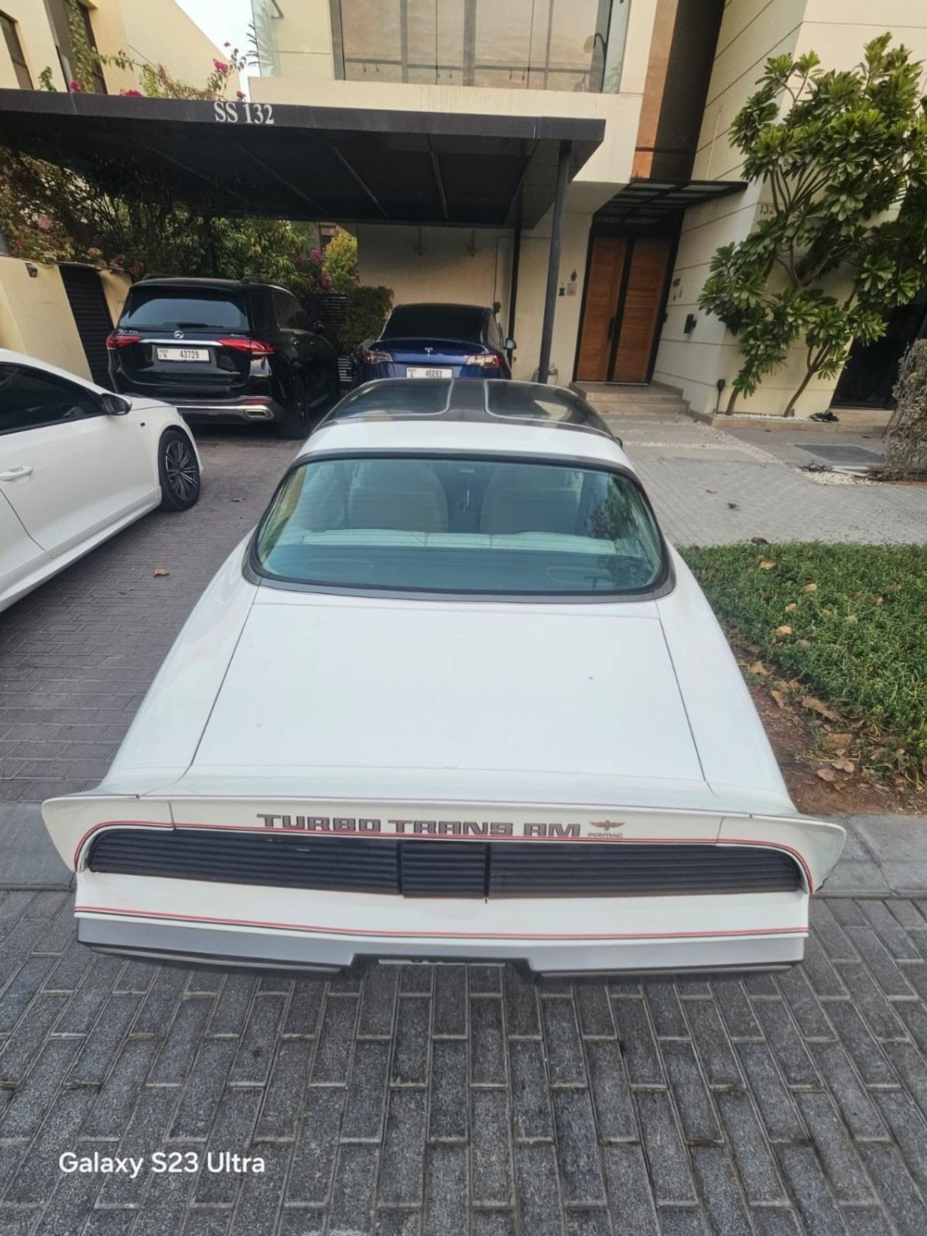 Pontiac Trans Am PACE CAR 301-4V 4.9L TURBO V8 | 1980 | Perfect Condition