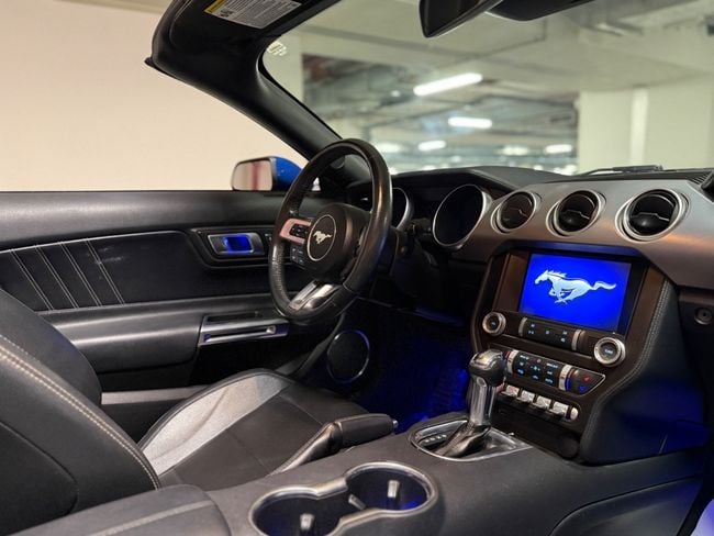 Ford Mustang STANDARD, миниатюра 27