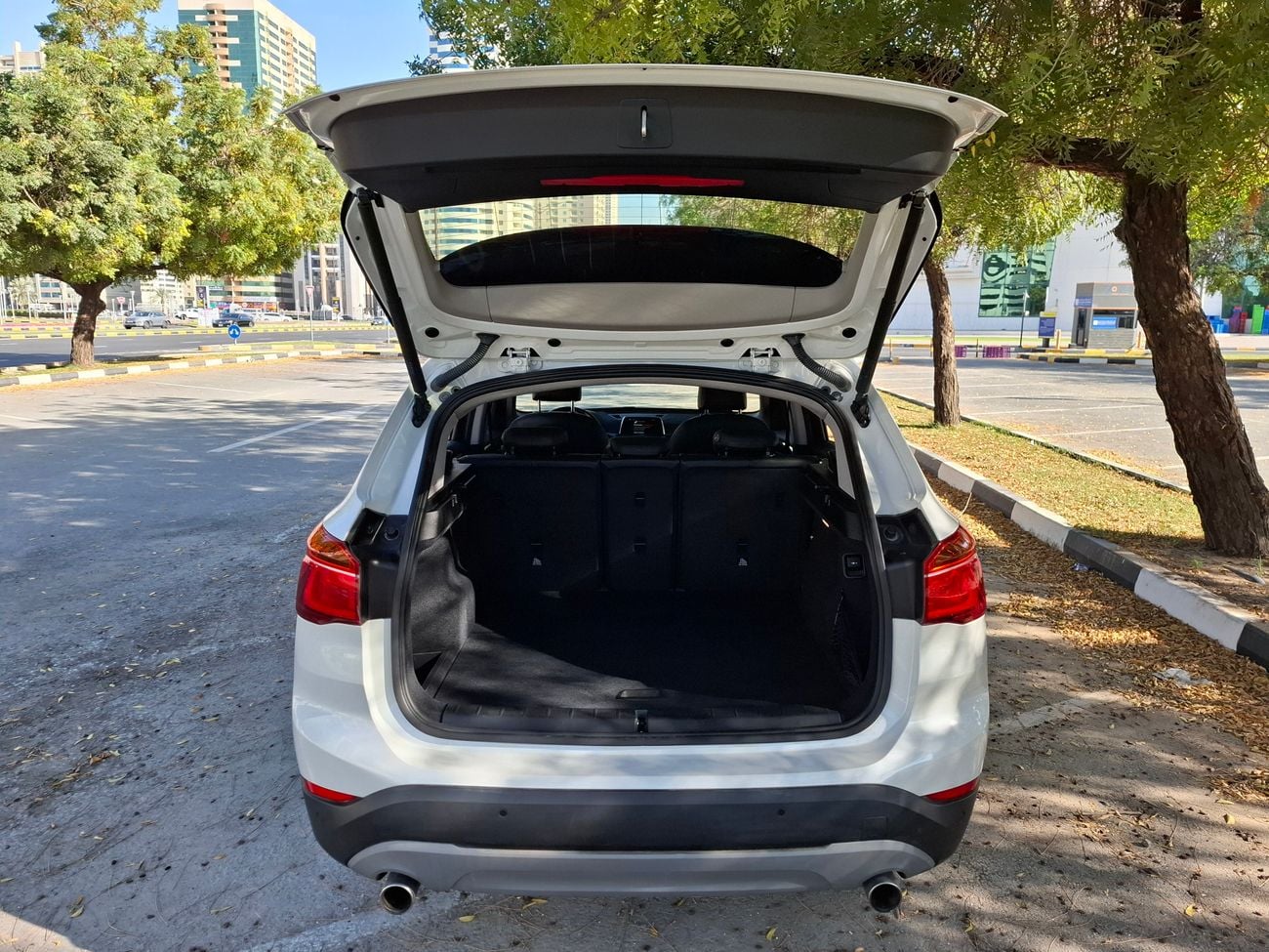 بي أم دبليو X1