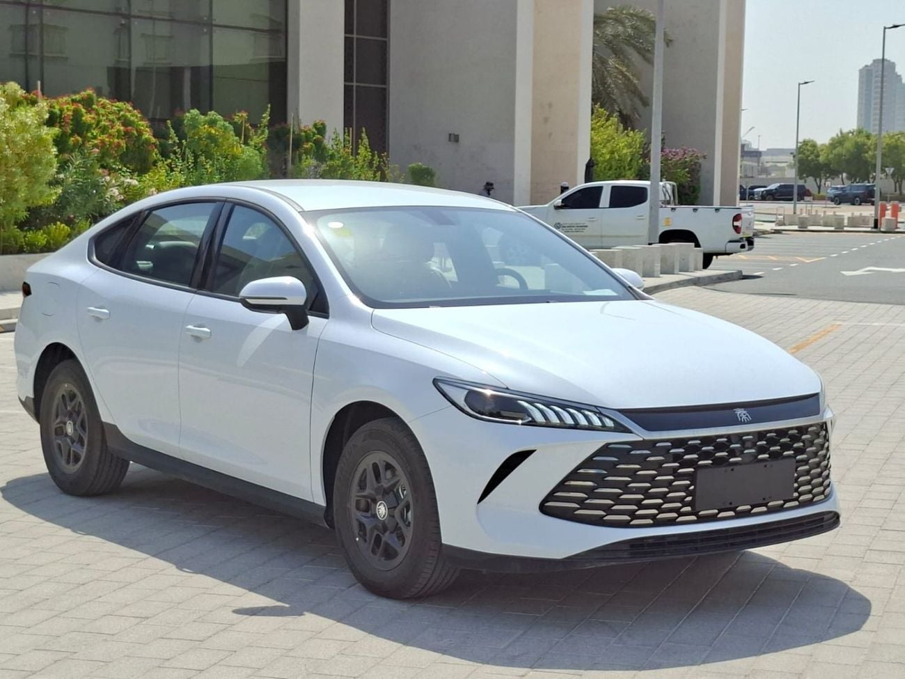 بي واي دي كين بلاس STANDARD