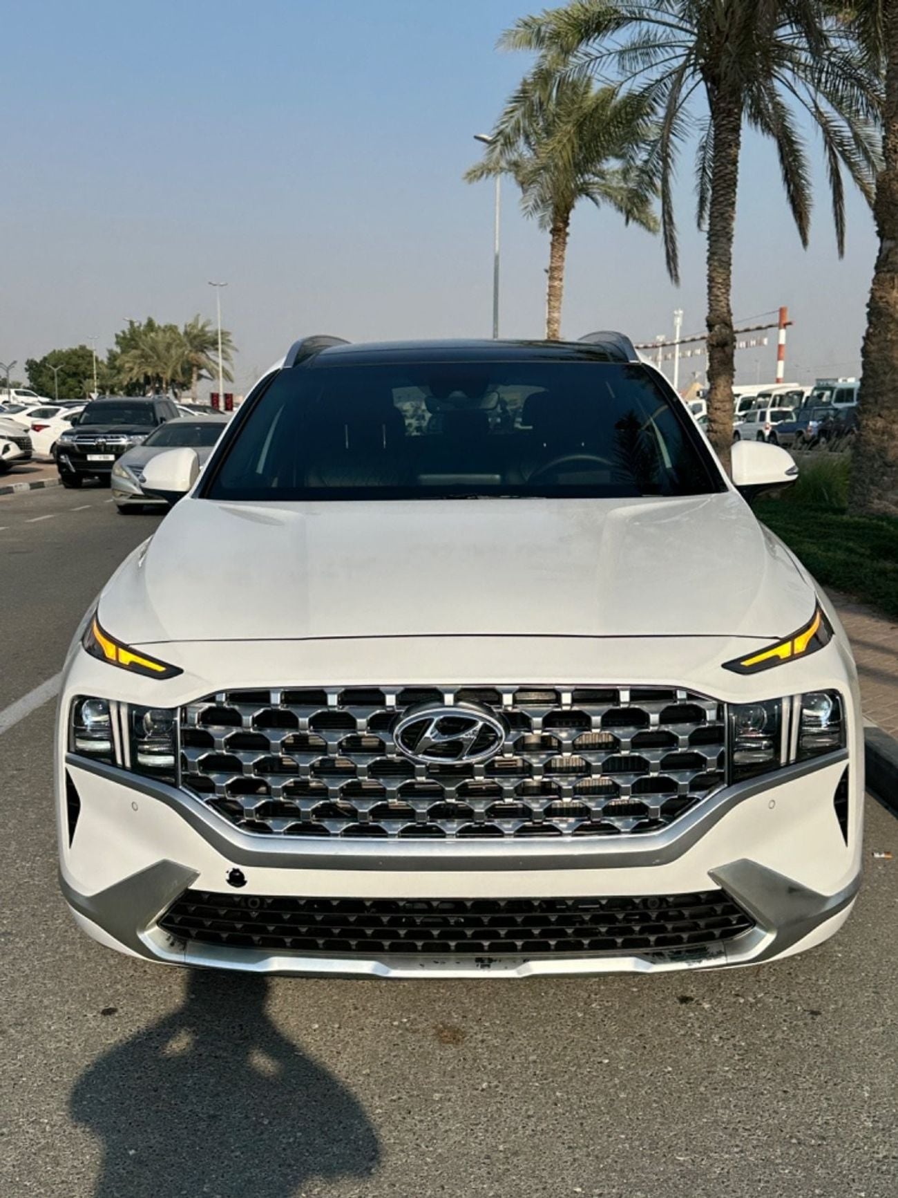 Hyundai Santa Fe 2023 Santa fe calligraphy full option