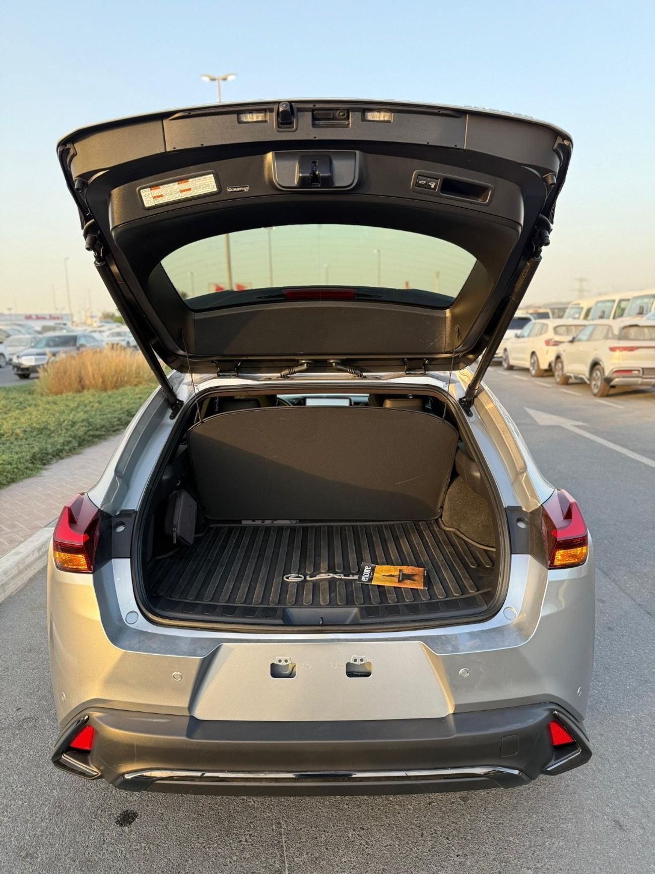 Lexus UX250h F-Sport Hybrid handling 2023 Full Option