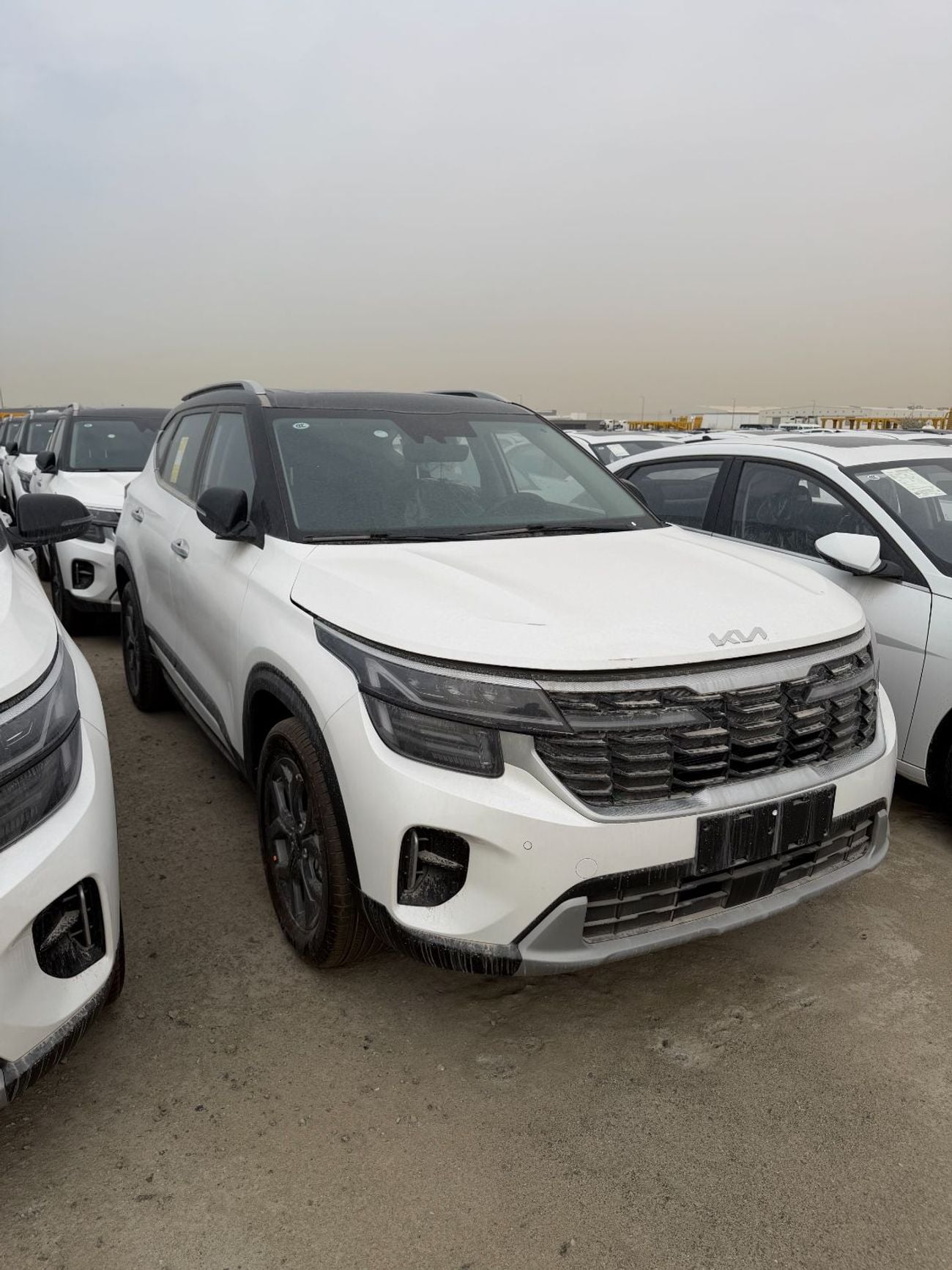 Kia Seltos 1.5L (Chinese) luxury Edition