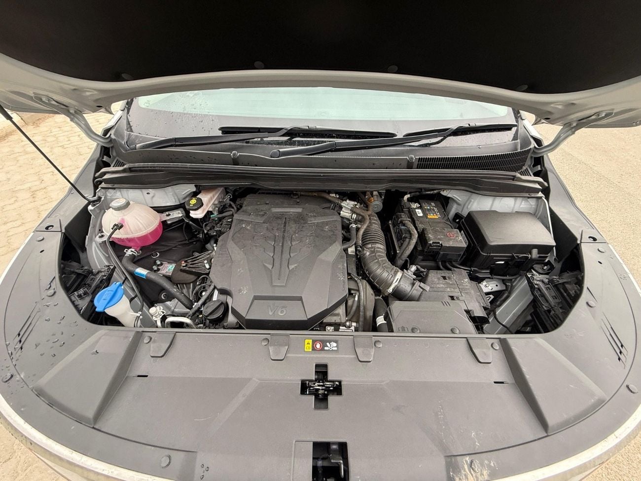 Kia Carnival Platinum Carnival