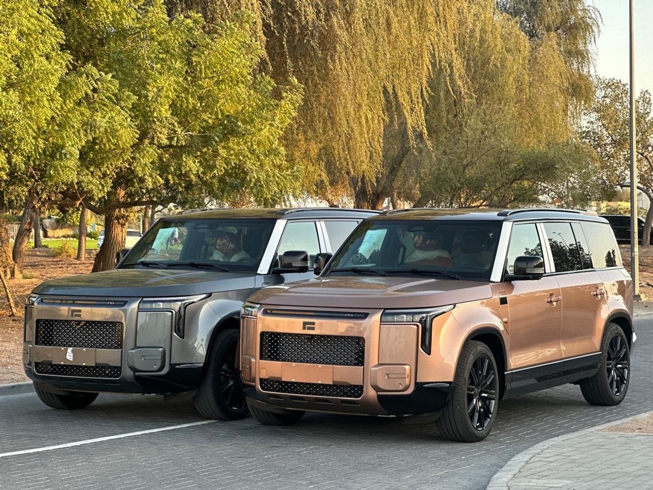 روكس أداماس