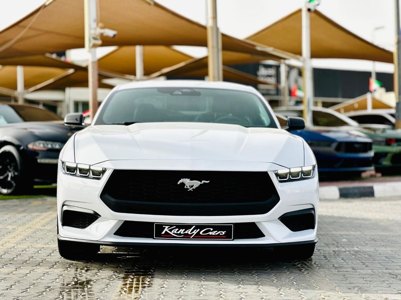 Ford Mustang STD Monthly 1900/- | 0% DP | Digital Cluster | Original Airbags | # 03665S