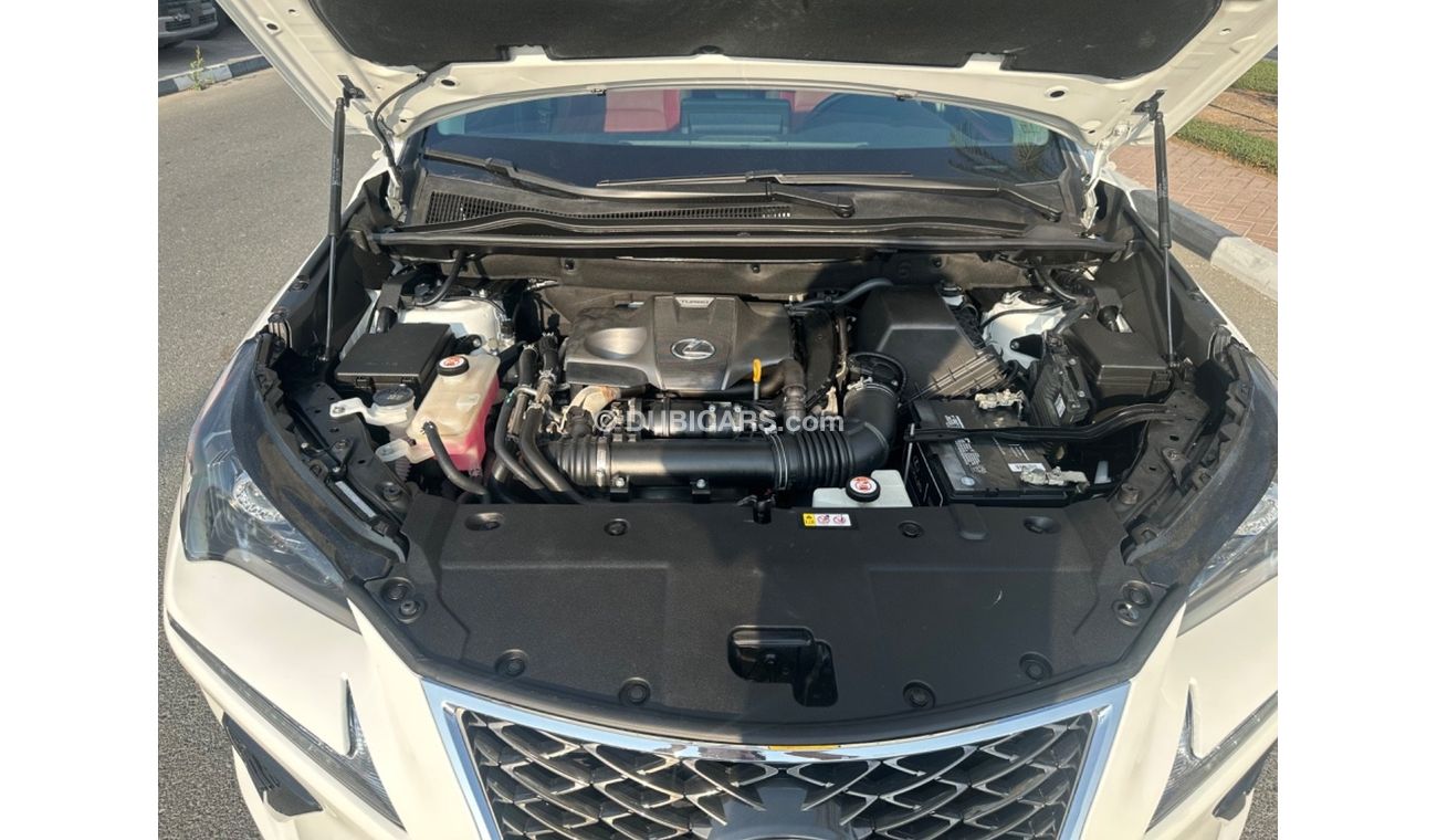 Lexus NX300 Platinum Nx300T 2019 full option