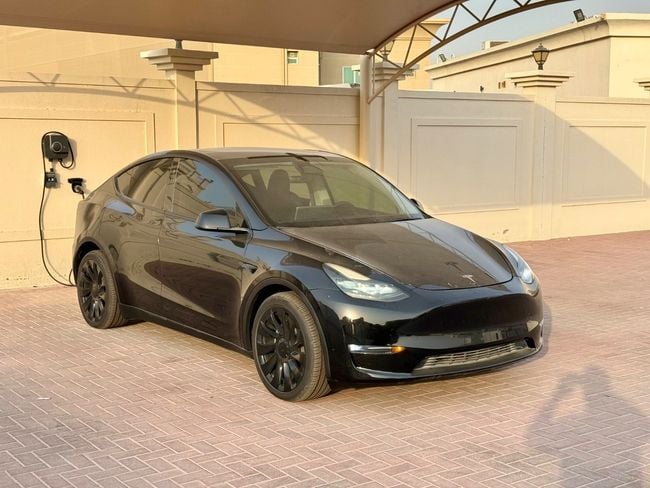 Tesla Model Y LONG RANGE, миниатюра 11