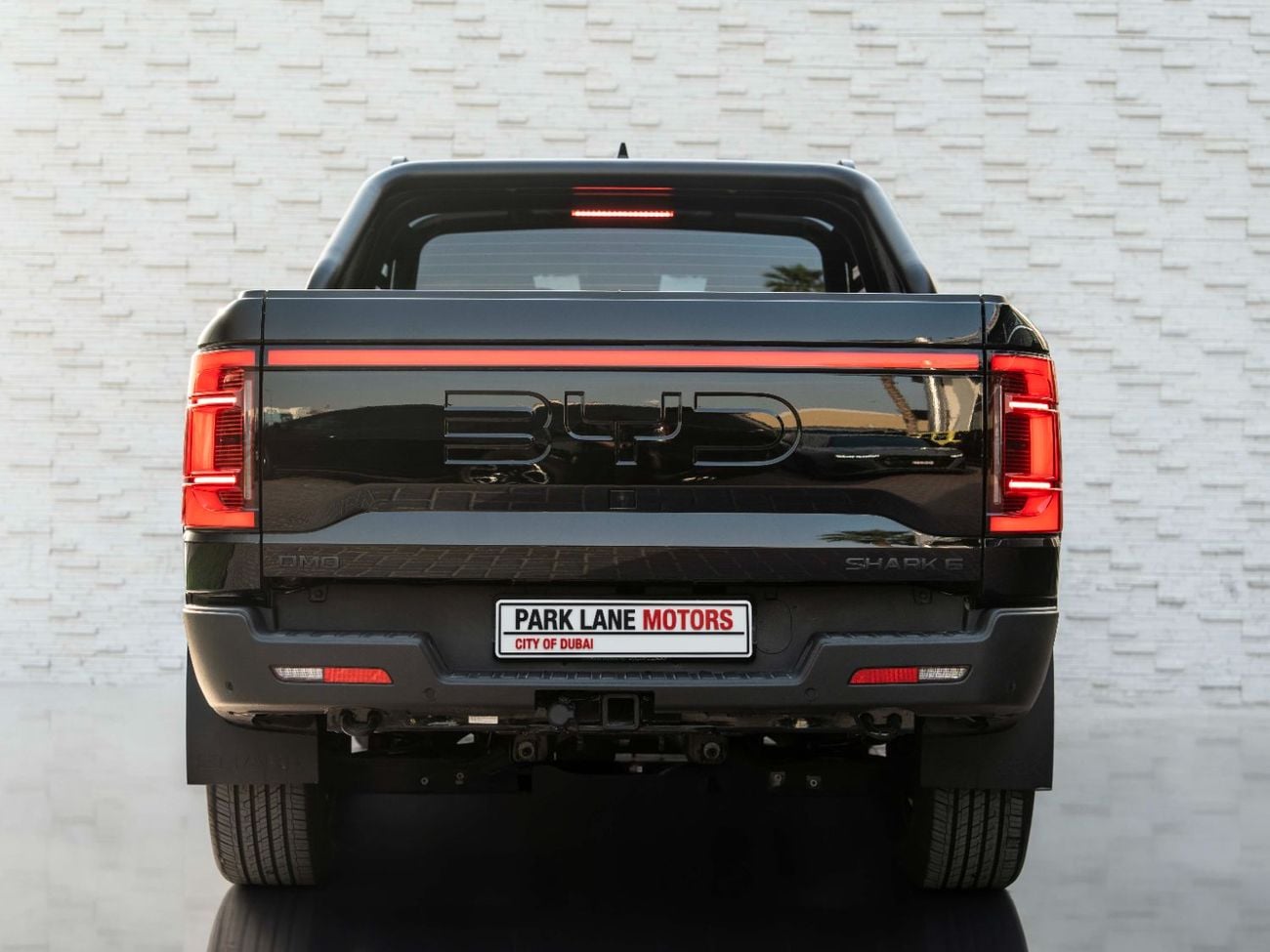 BYD Shark 6