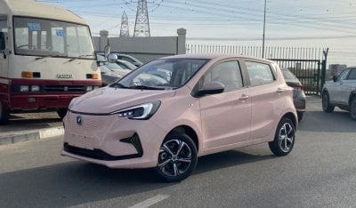 Changan Ben E-Star ELECTRIC |FULL OPTION | BRAND NEW