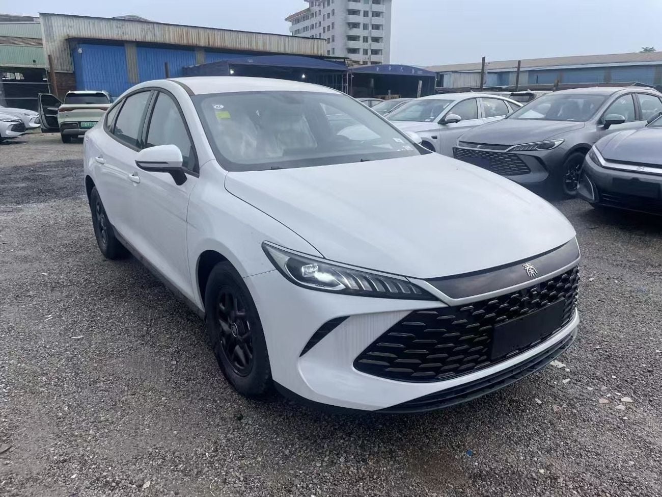 بي واي دي كين بلاس Qin plus white-beige