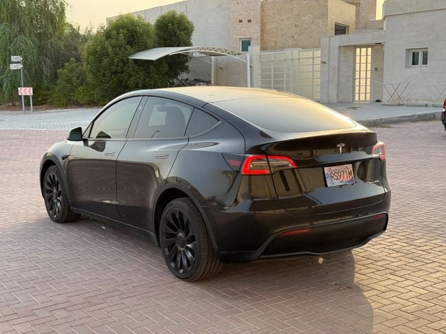 Tesla Model Y LONG RANGE, миниатюра 14