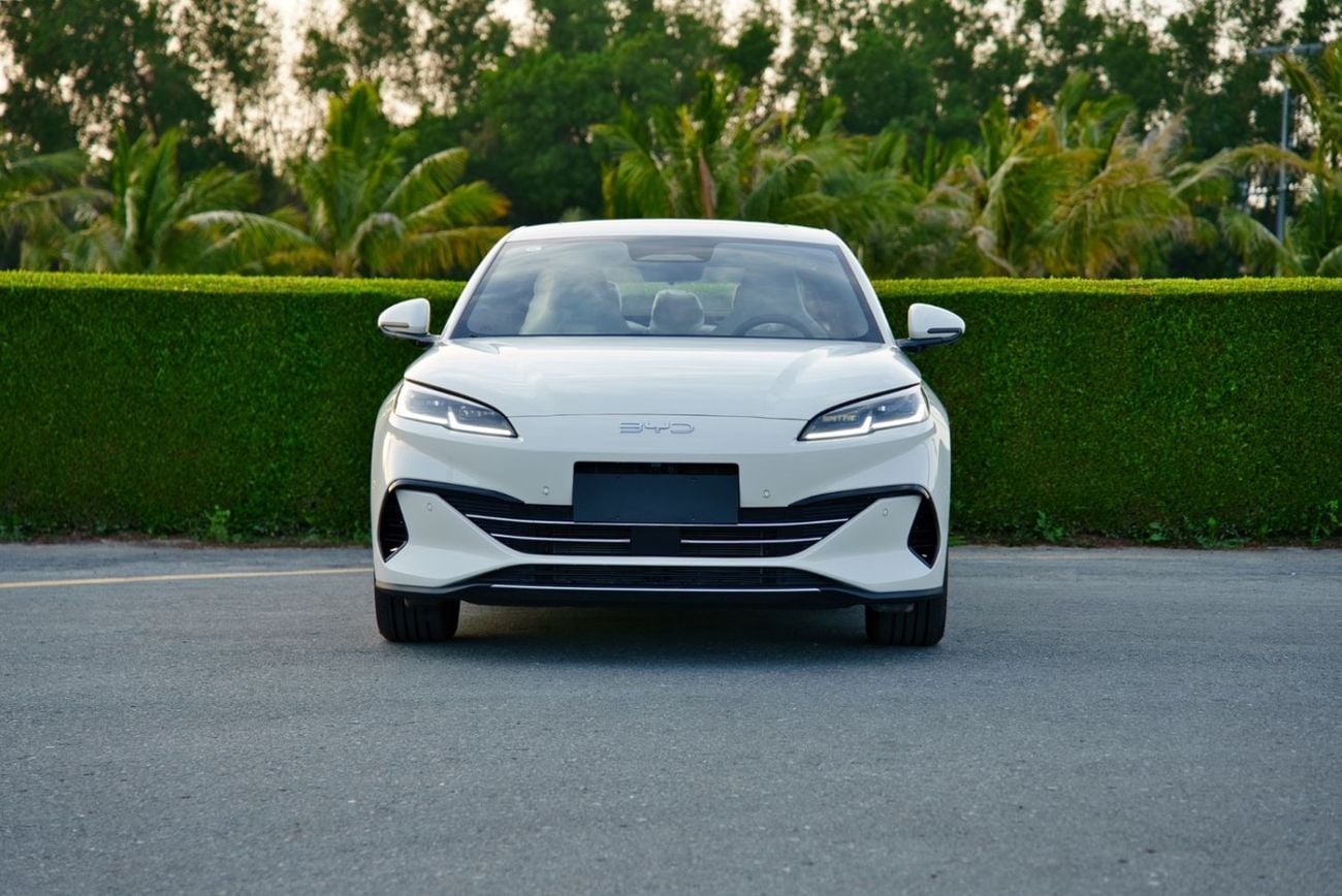 بي واي دي سيل 06 دي إم-آي