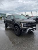 فورد F 150 26/26 RAPTOR 802A PACKAGE