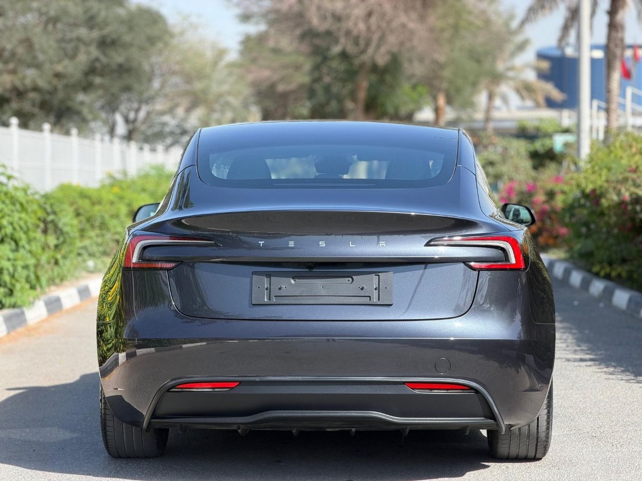 Tesla Model 3 Rear-Wheel Drive