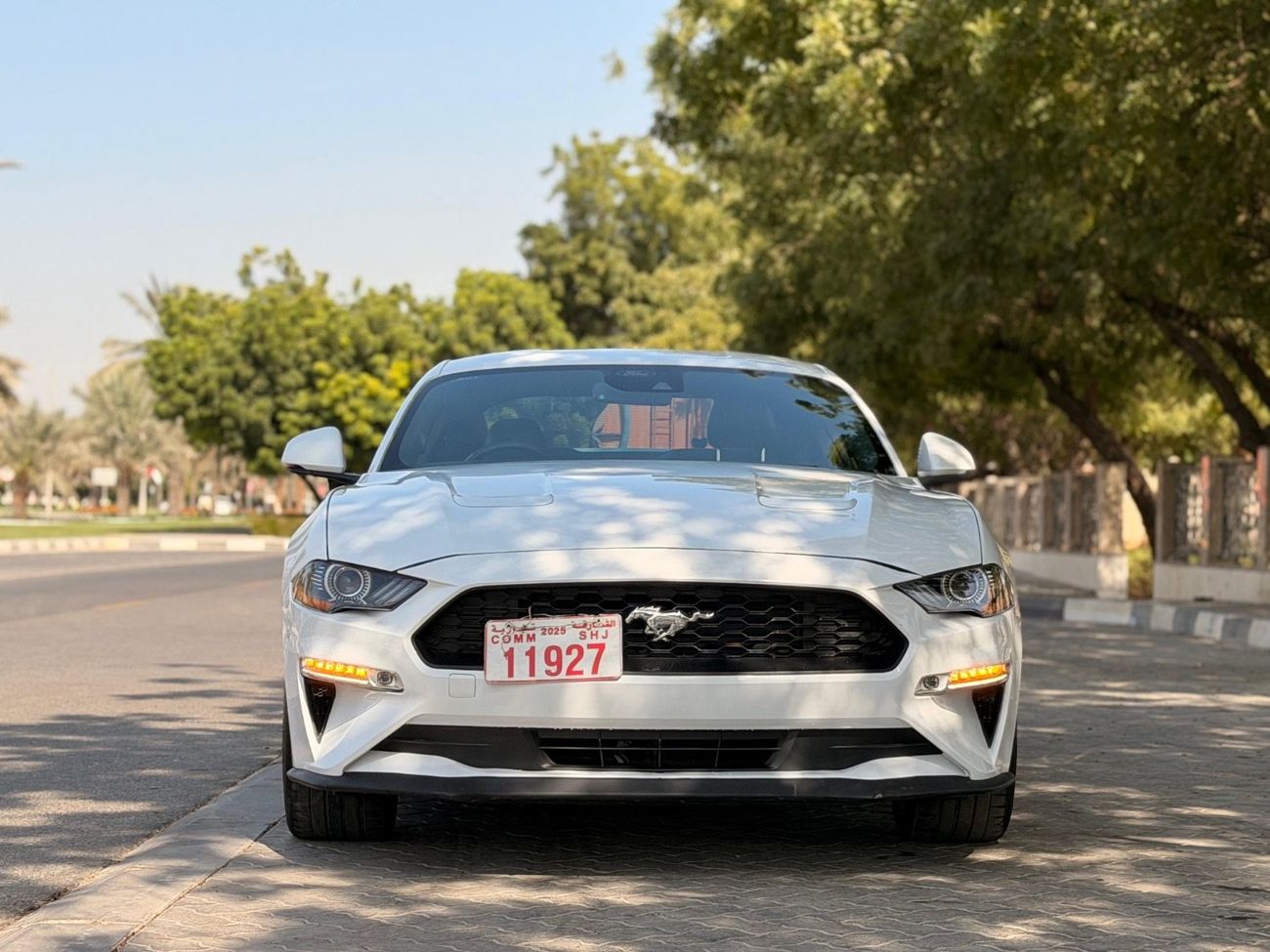 Ford Mustang GT California Special 5.0L (435 HP) Coupe A/T